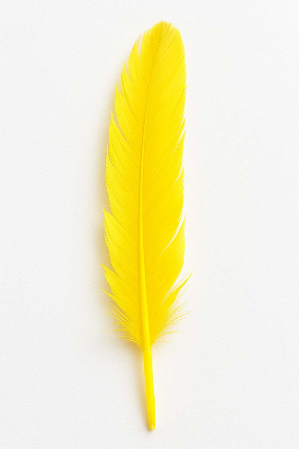Feather (individual)