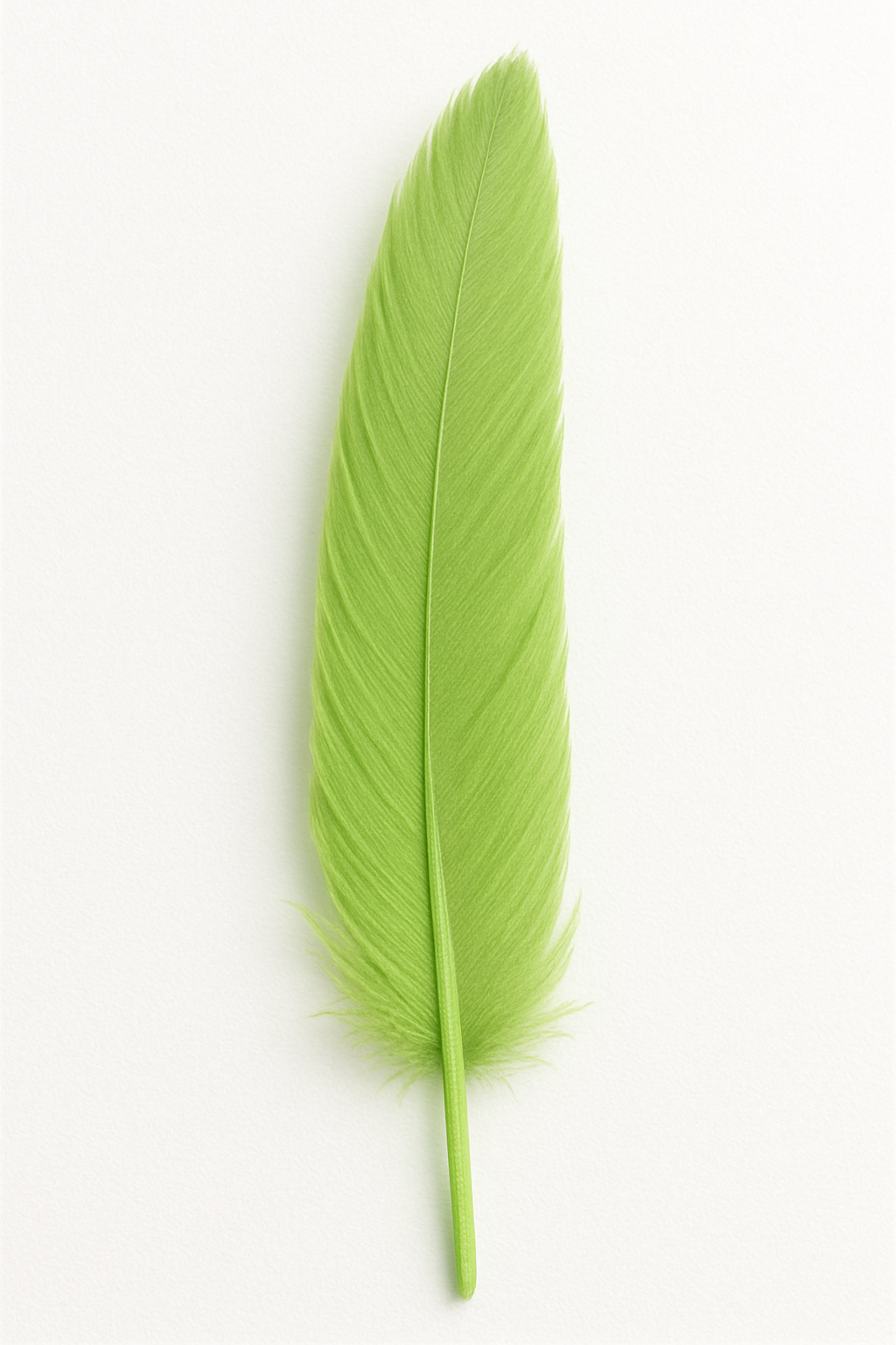 Feather (individual)