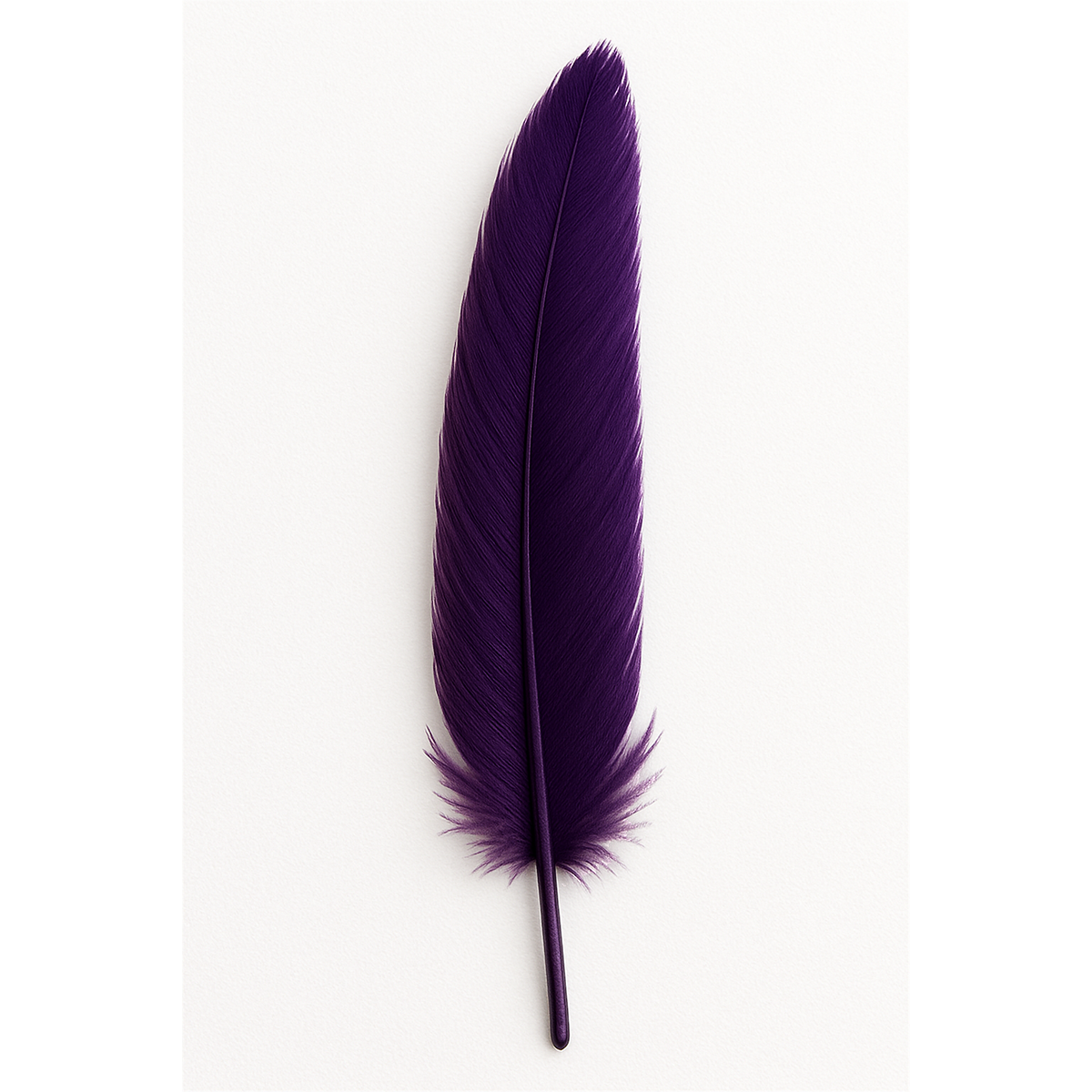 Feather (individual)