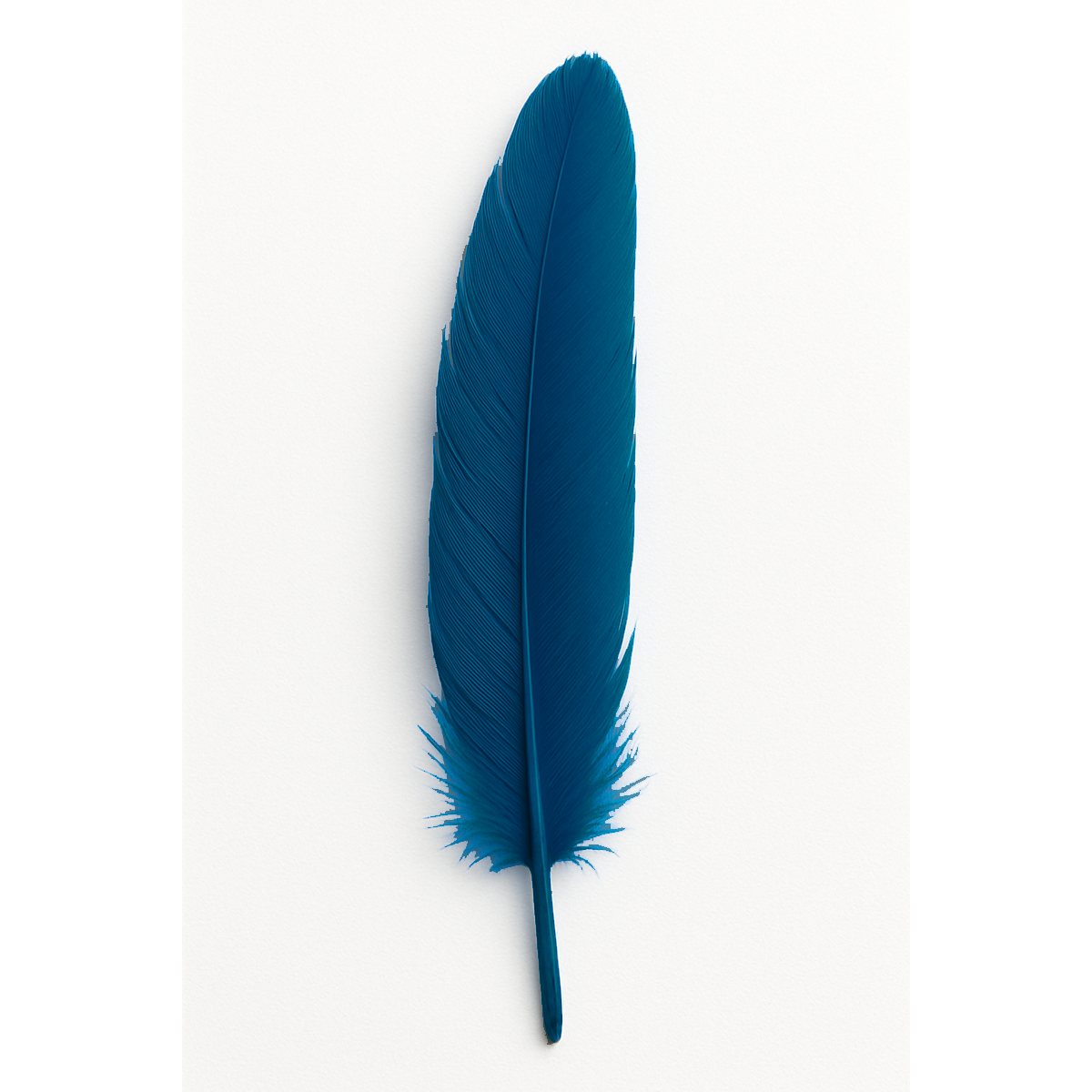 Feather (individual)