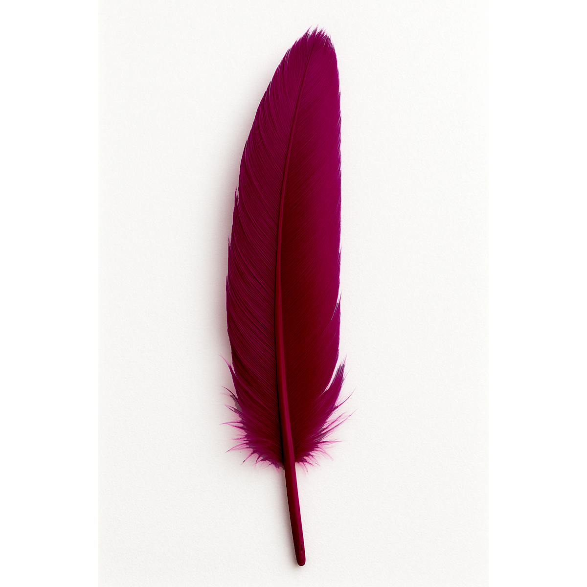 Feather (individual)