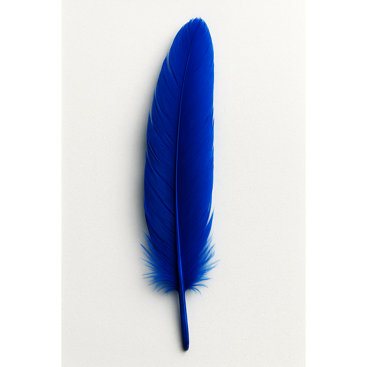 Feather (individual)