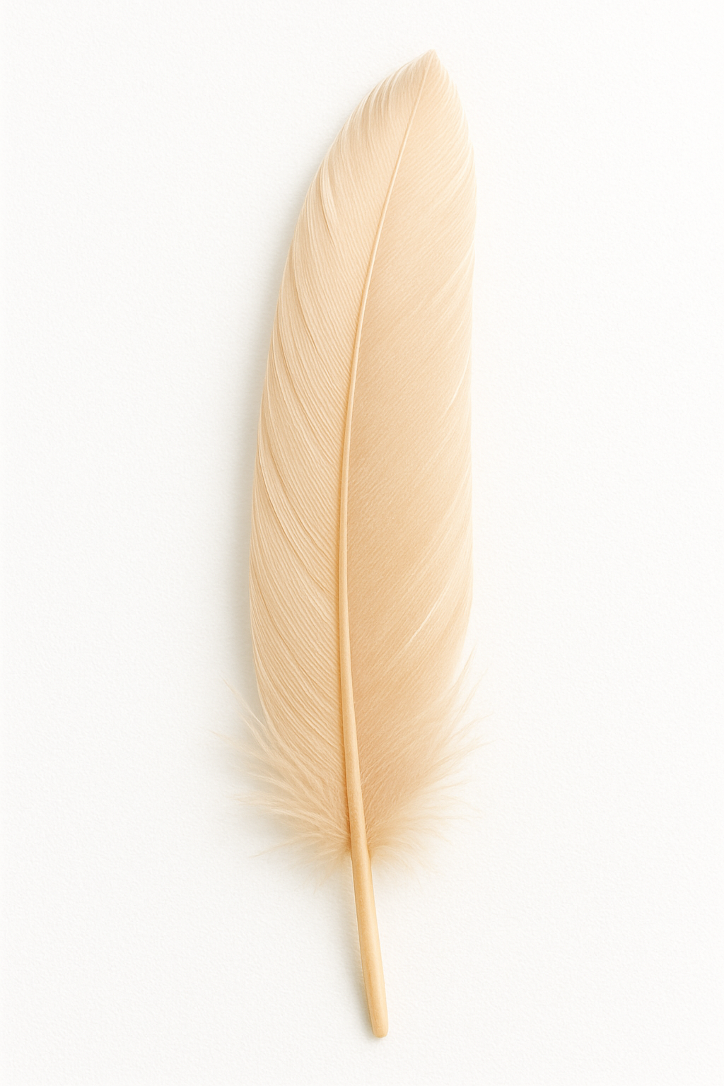 Feather (individual)
