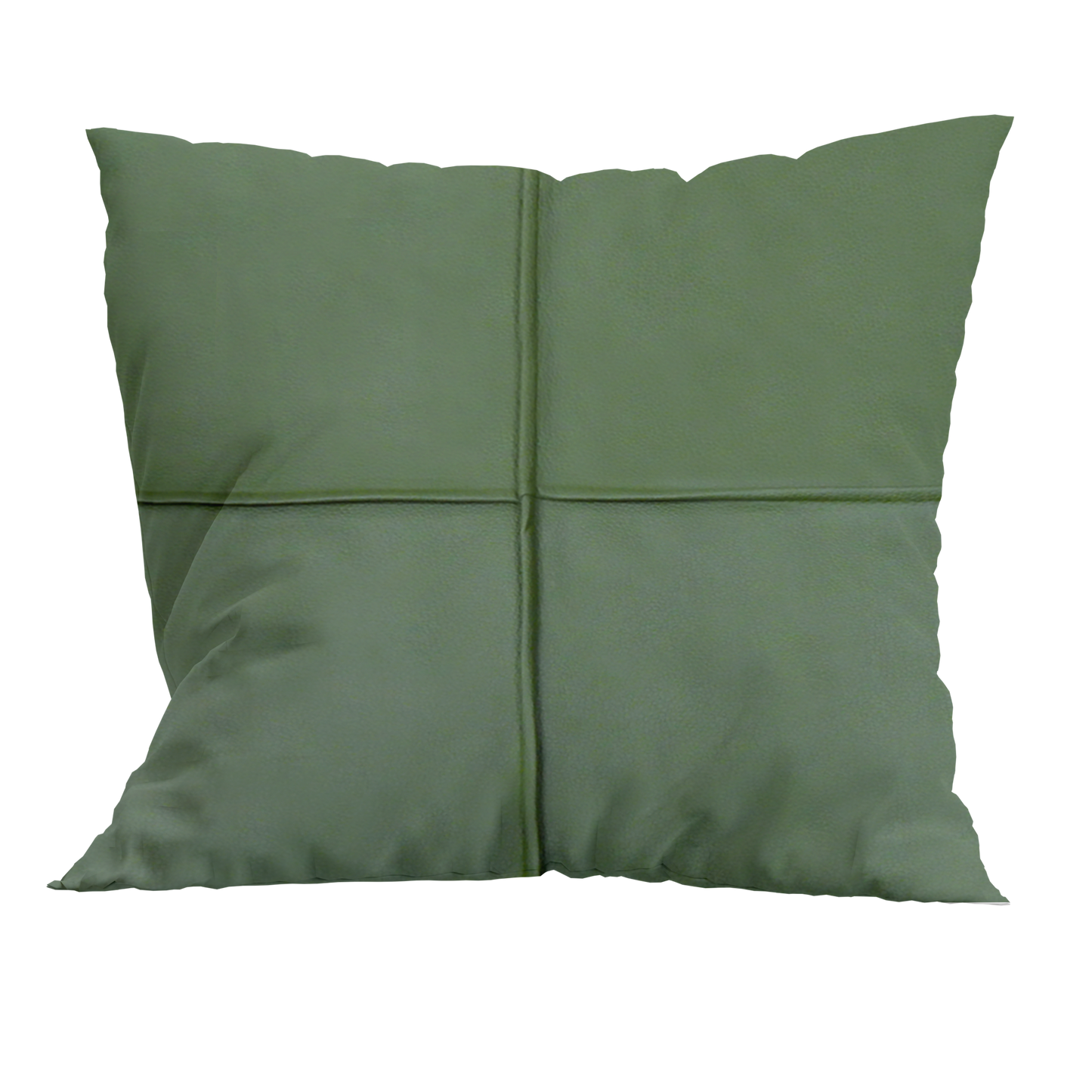 Cushion Cover - Leather Finish