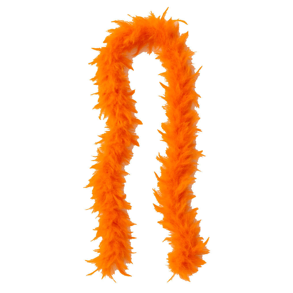 Feather Boa