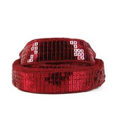 Paillette Sequin Ribbon/ Trim