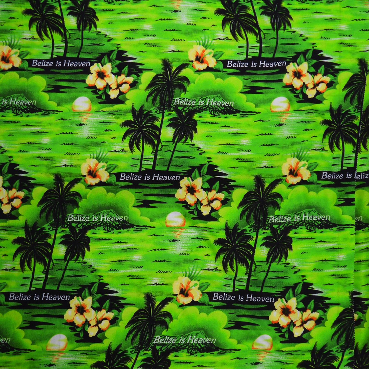 Belize Rayon (Prints)