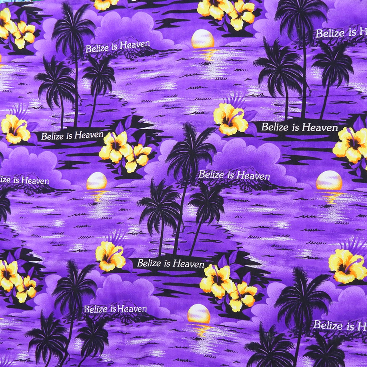 Belize Rayon (Prints)