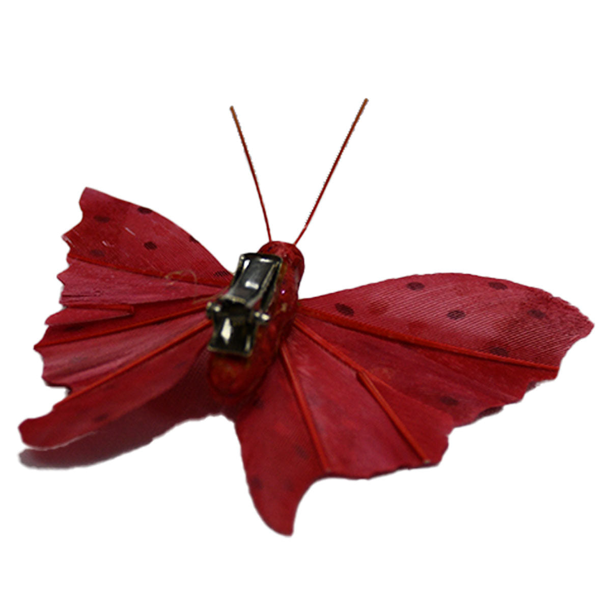 small butterfly pin red