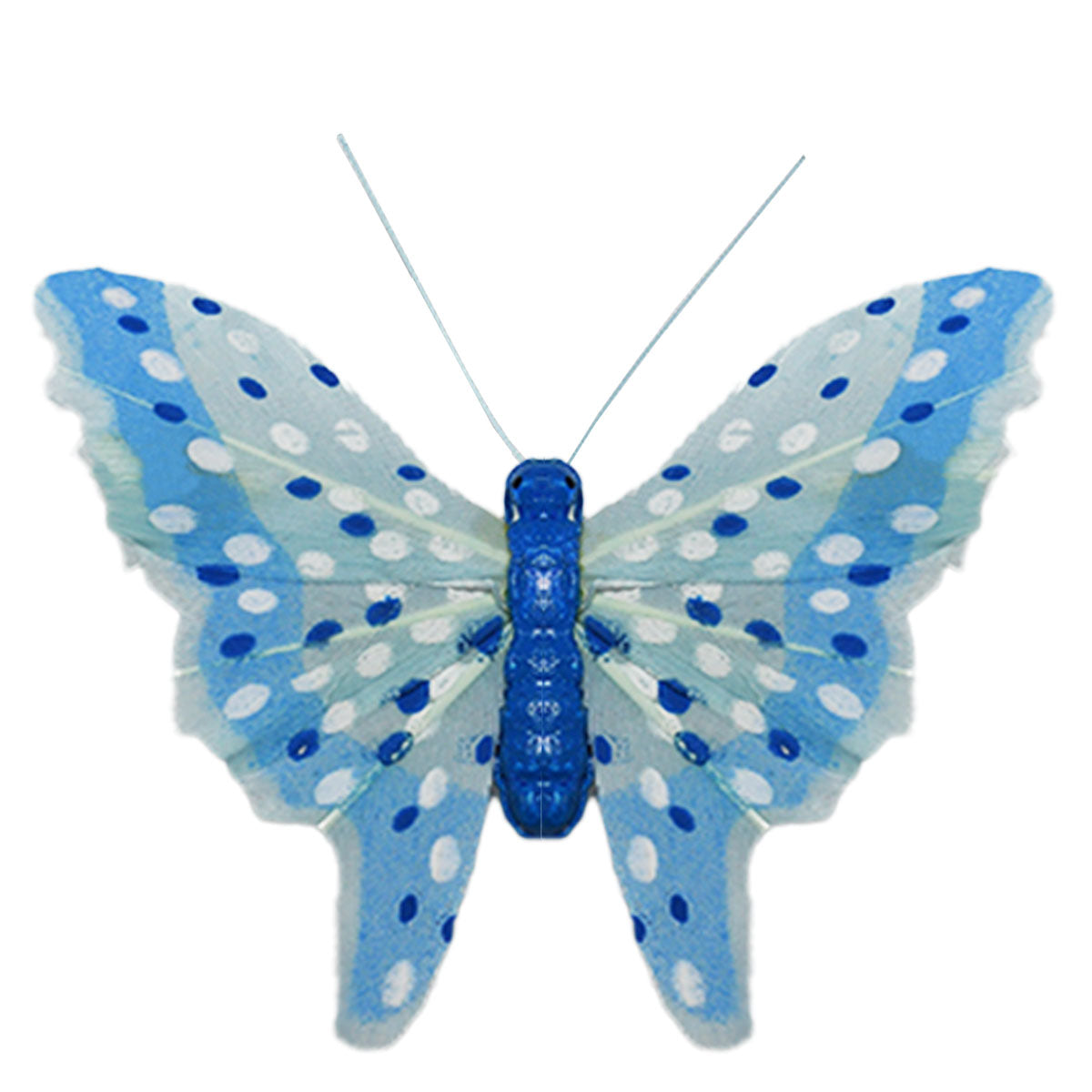 small butterfly pin blue