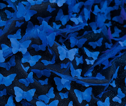 3D Butterfly Tulle