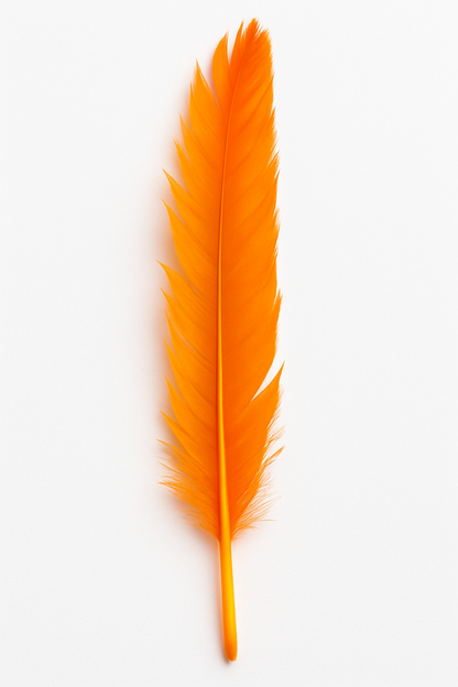 Feather (individual)