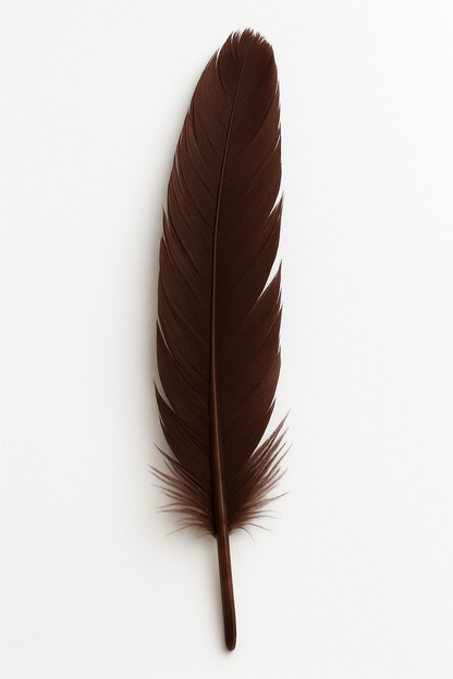 Feather (individual)