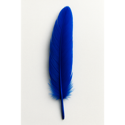 Feather (individual)