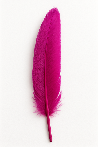 Feather (individual)