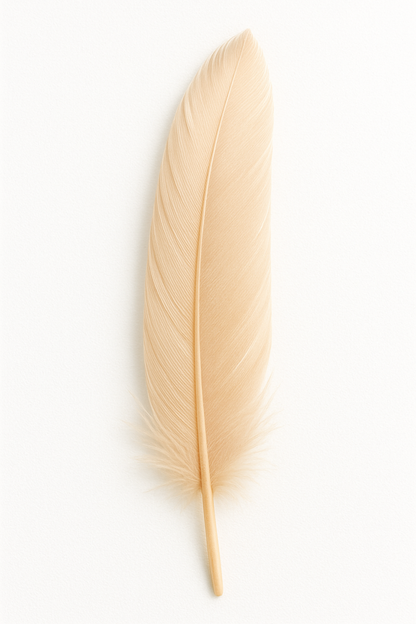 Feather (individual)