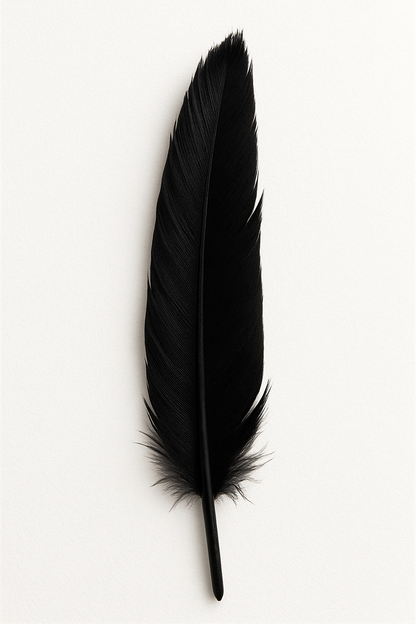 Feather (individual)