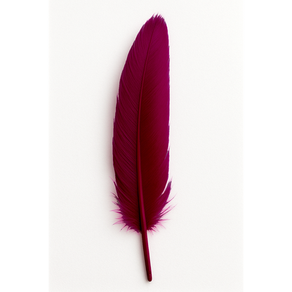 Feather (individual)