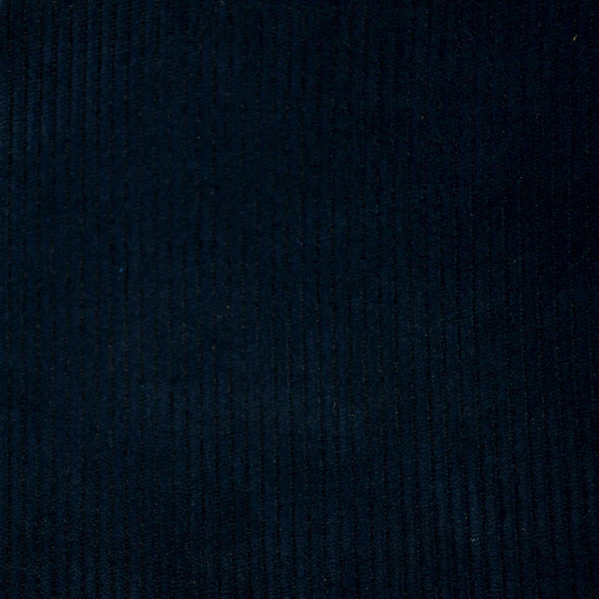 Corduroy Fabric