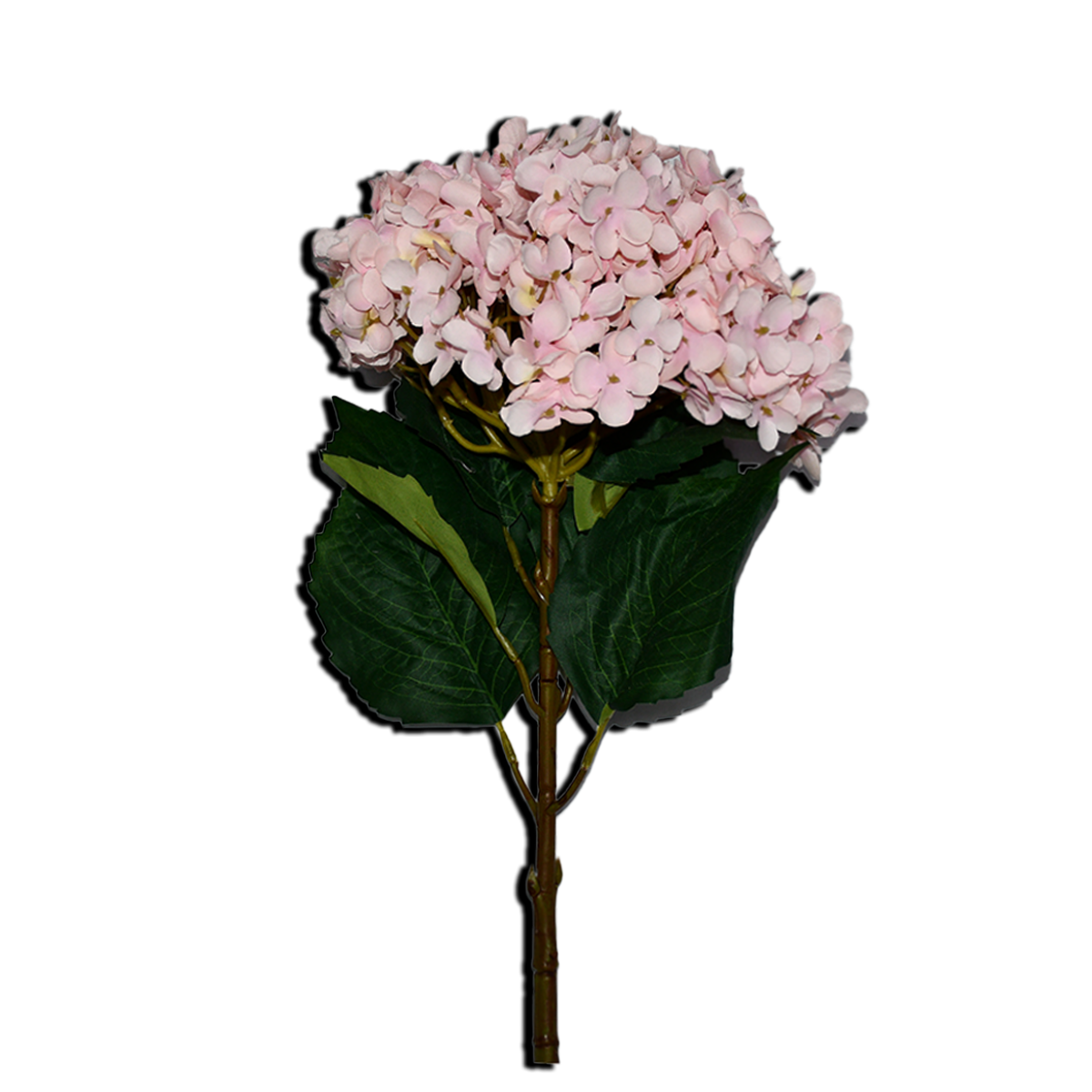 Decorative Hydrangea Flower