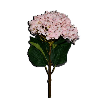 Decorative Hydrangea Flower