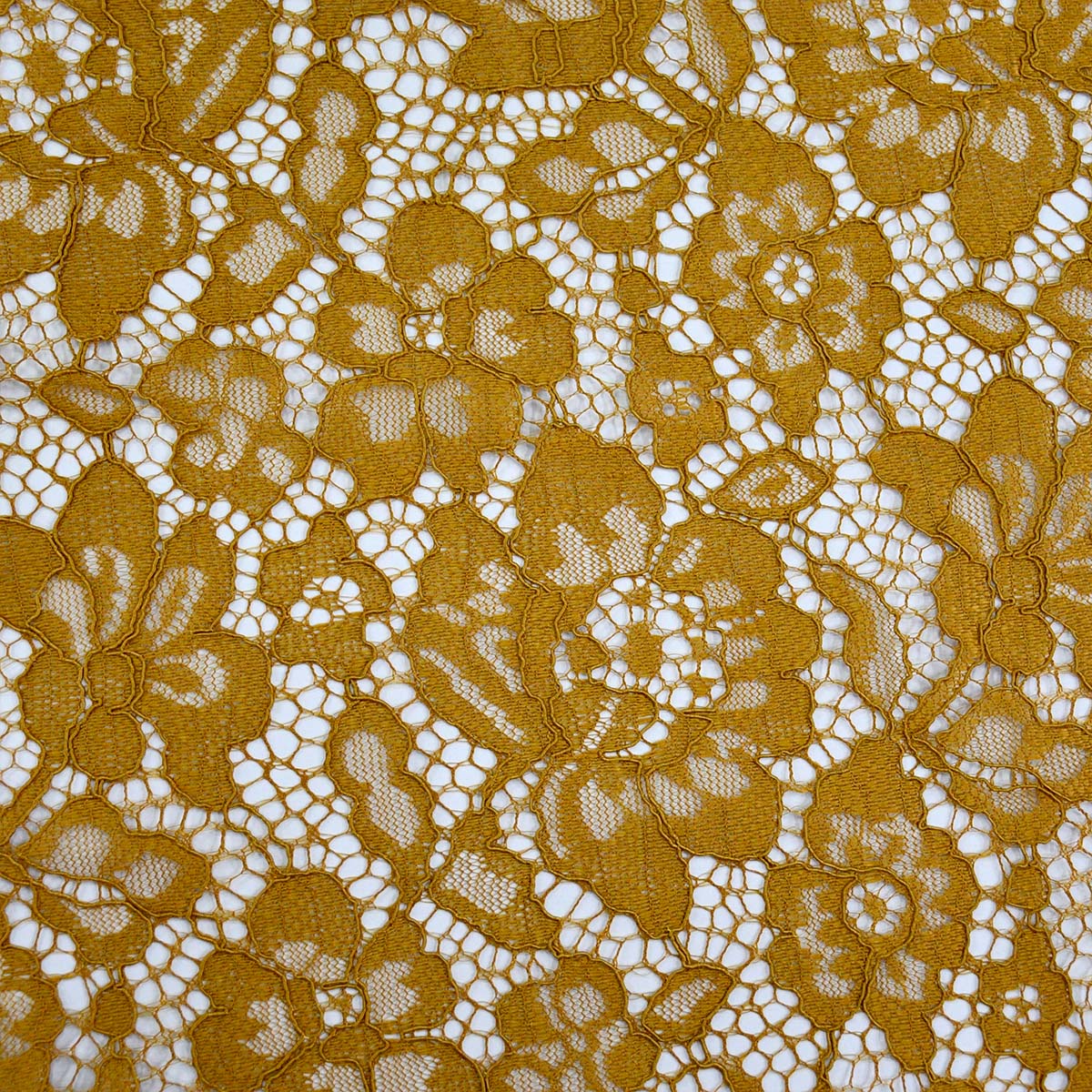 Lace (Dress)