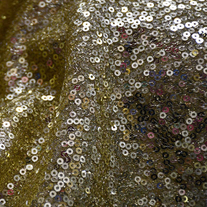 Fine Sequined Fabric