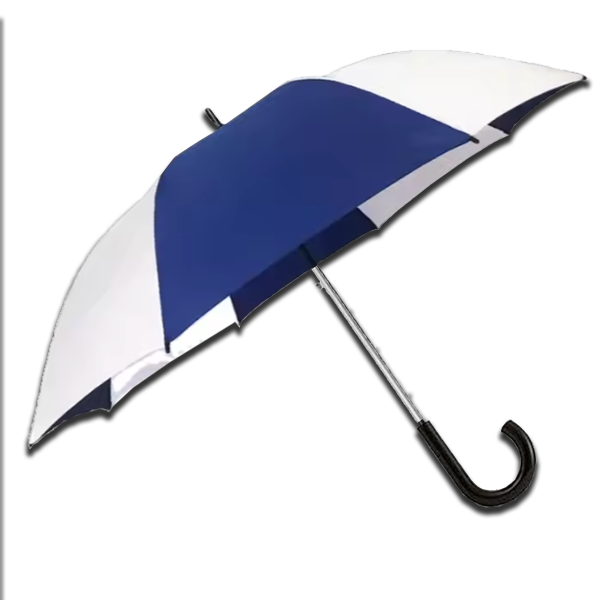 Political Umbrella