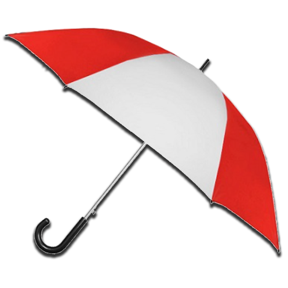 Political Umbrella