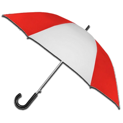 Political Umbrella
