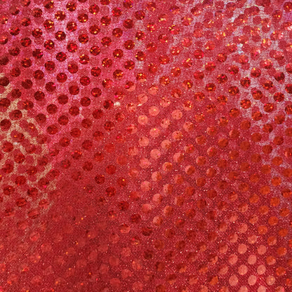 Sequin Fabric