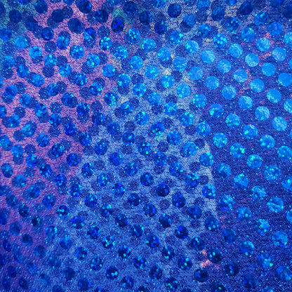 Sequin Fabric