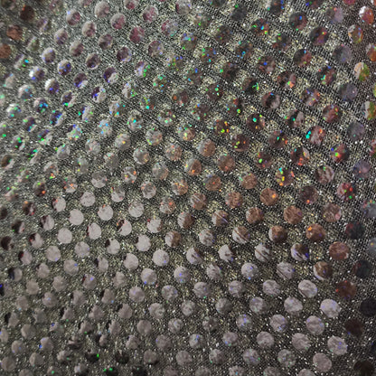 Sequin Fabric