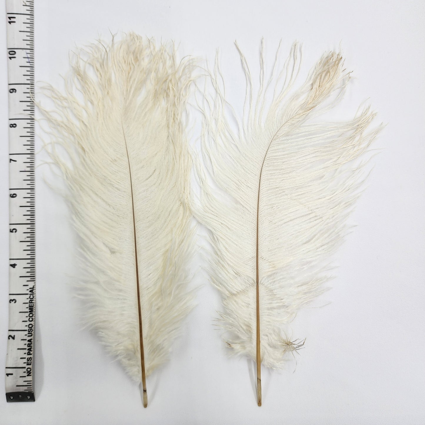 Faux Feathers